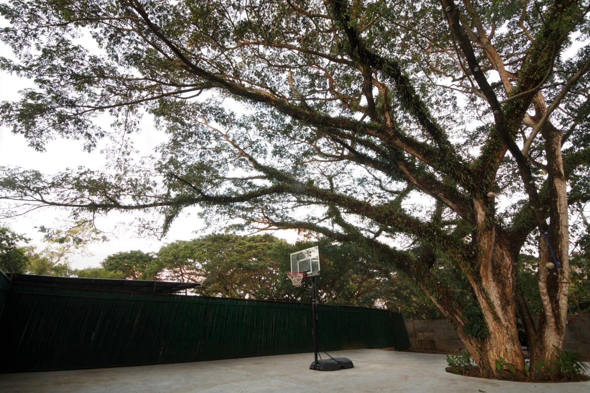 Ala Amid Bed And Breakfast Puerto Princesa Exterior photo